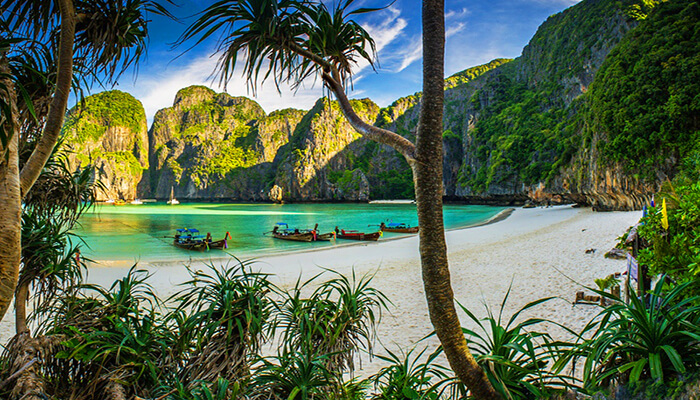 maya bay